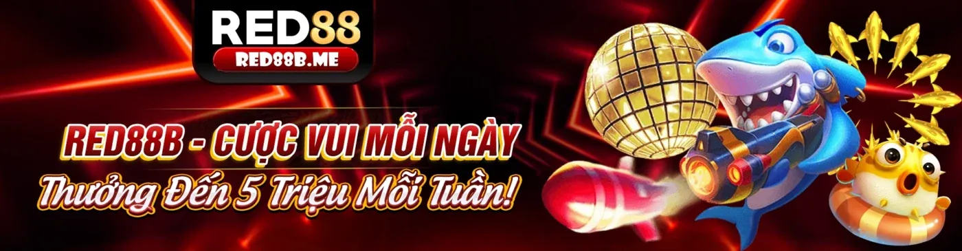 Hình ảnh chính Blog bz66 với các hoạt động cá cược trực tuyến sôi động